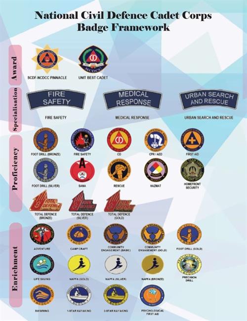 ncdcc-badge-framework_70da9315-da5e-4245-ba07-59b524bfe6e2.tmb-ze-500-800